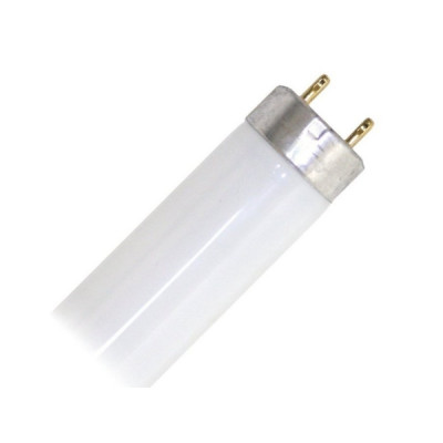 LAMP 15W FOR EIN-30